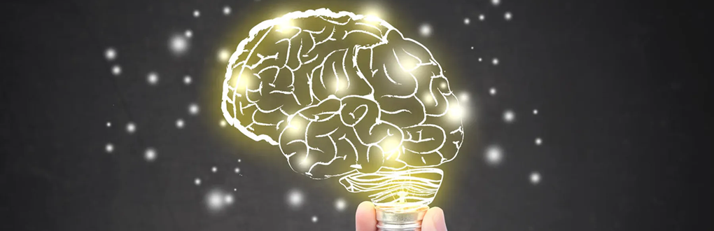 Diplomado Integral en Neuropedagogía 2023