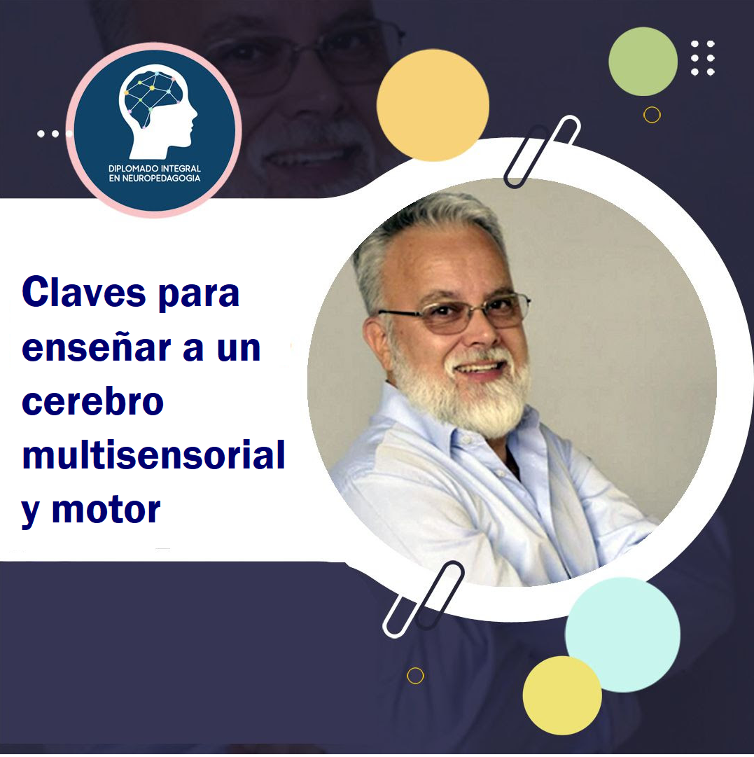 Claves para enseñar a un cerebro multisensorial y motor