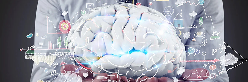 Trimestre 1 Neurobiología del aprendizaje